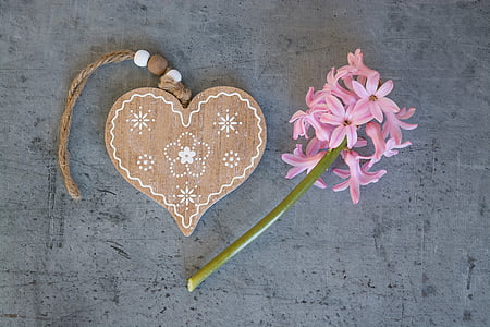 pink flowers on gray surface thumbnail