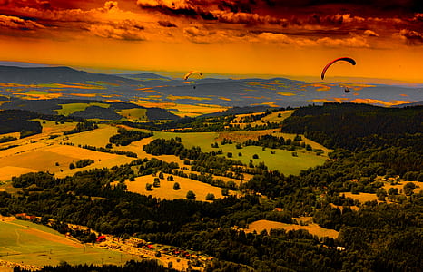 paragliders gliding above trees thumbnail