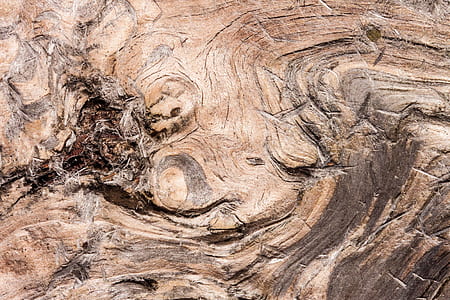 wood, structure, fund, fibrous, old, weathered thumbnail