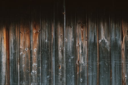 wood, wall, fence, texture thumbnail