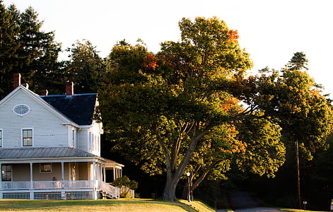 house beside tree thumbnail