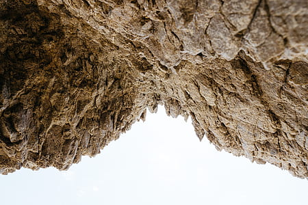 brown rock fragment thumbnail