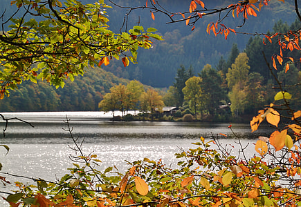 green and brown leaf trees near lake at daytime thumbnail