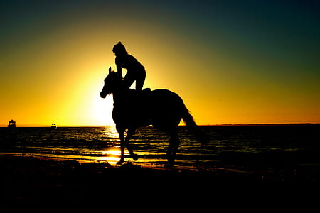 silhouette photo of person riding horse in seashore during golden hour thumbnail