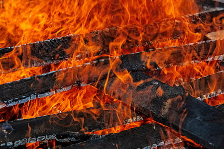 flame engulfed pile of wood thumbnail