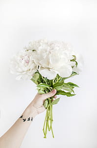 Person Holding White Peony Bouquet Closeup Photography thumbnail