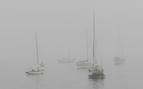 sail boats on large body of water thumbnail