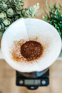 focus photo of coffee powder on top of white filter pad thumbnail