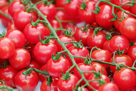 tomato lot thumbnail