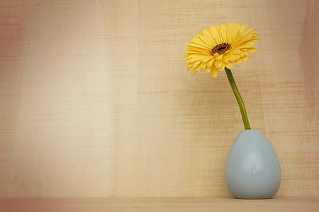 yellow sunflower in gray ceramic vase thumbnail