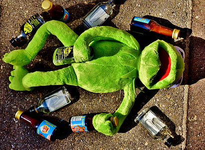 Kermit the Frog with beer bottle thumbnail