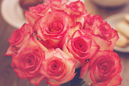 pink-and-white flower bouquet in tilt shift lens photo thumbnail