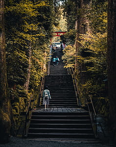 woman walking on stair thumbnail