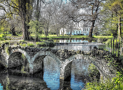 gray concrete bridge surrounding trees thumbnail