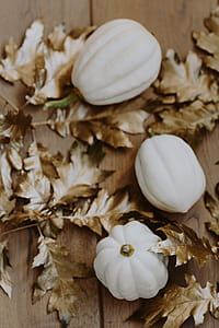 White pumpkins with golden oak leaves thumbnail