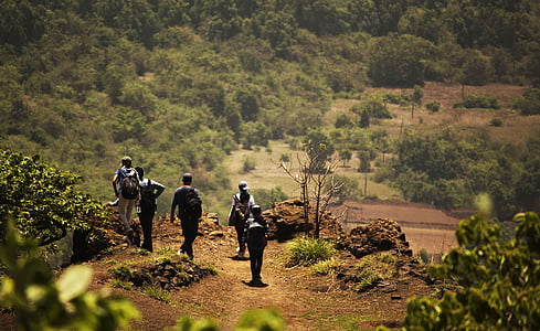 group of people walking near green tree thumbnail