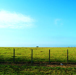 Greenfield Behind Blue Sky thumbnail