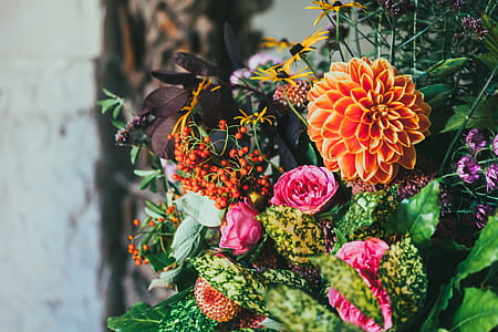 bokeh photography of orange and pink flowers thumbnail