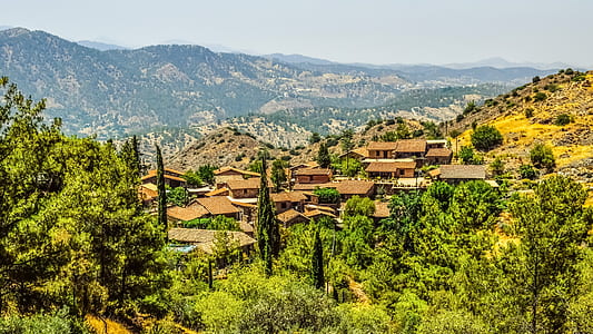 brown houses beside green trees thumbnail