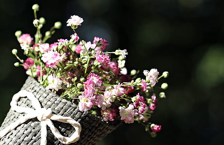 pink and white flowers on bouquet during daytime thumbnail