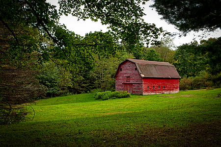 red barn surrounded by trees thumbnail