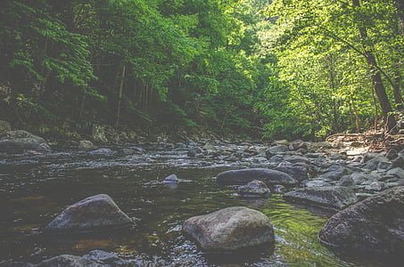 body of water thumbnail