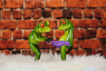 selective focus photography of green frog figurines thumbnail