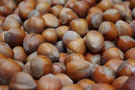 chestnut lot thumbnail