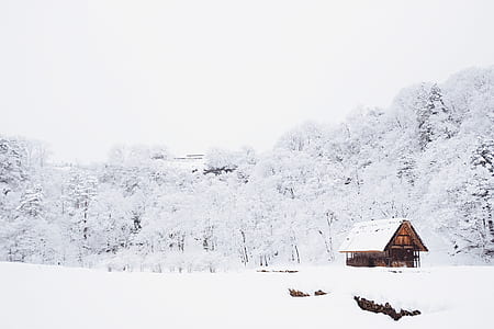 brown cabin house surrounded by trees covered with snow thumbnail