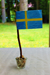 Swedish Flag, Sweden'S Flag thumbnail