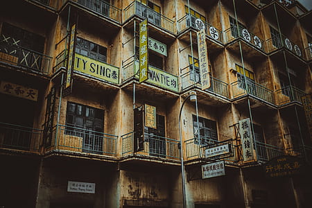 yellow tenement thumbnail