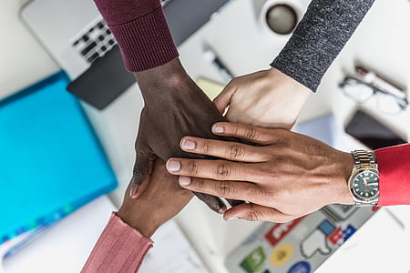 Four Hands Meeting Photo thumbnail