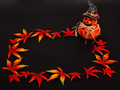 red maple leaves box artwork thumbnail