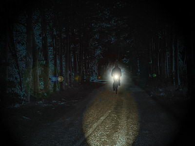 person riding bicycle on road between forest thumbnail