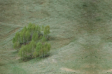 aerial photography of green grass field at daytiem thumbnail