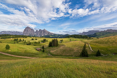 green grass field and trees under cloudy sky thumbnail