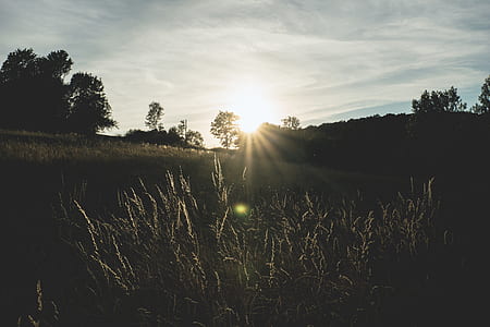 nature, sky, sunset, clouds thumbnail