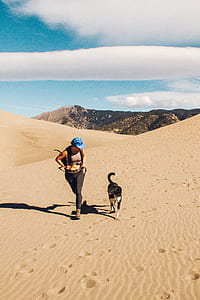 woman and dog walking on sand during daytime thumbnail