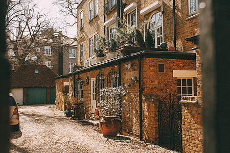 brown bricked building near leafless tree thumbnail