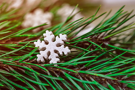 white snowflake ornament on green leaves thumbnail