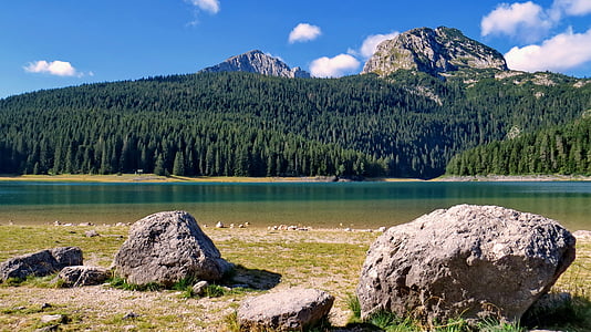 gray stone near green trees during daytime thumbnail