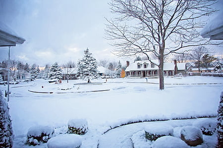 white snow covering the village thumbnail