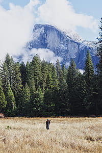 man wearing black jacket using camera near trees and brown grass under white and blue sky during daytime thumbnail