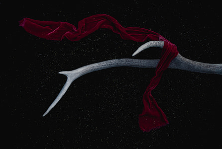 red textile placed on white animal horn thumbnail