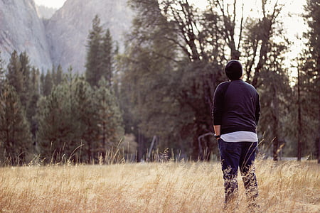man on grass field near tree thumbnail