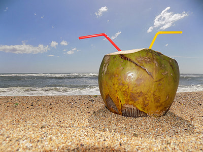 closeup photo of coconut juice near shoreline thumbnail