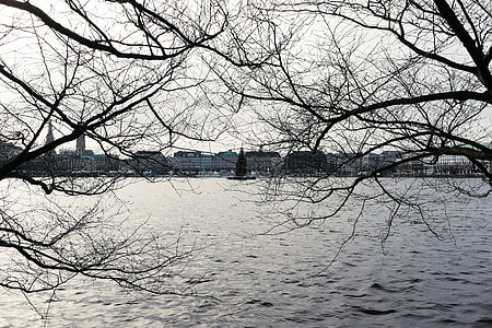 Alster in Hamburg thumbnail