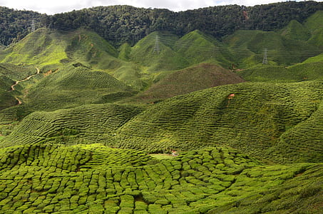 green mountains at daytime photo thumbnail