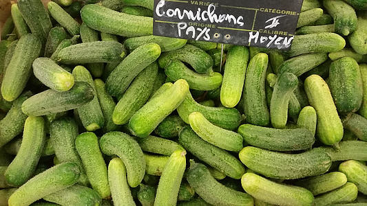 green cucumber lot thumbnail