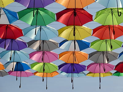assorted-color handheld umbrella thumbnail